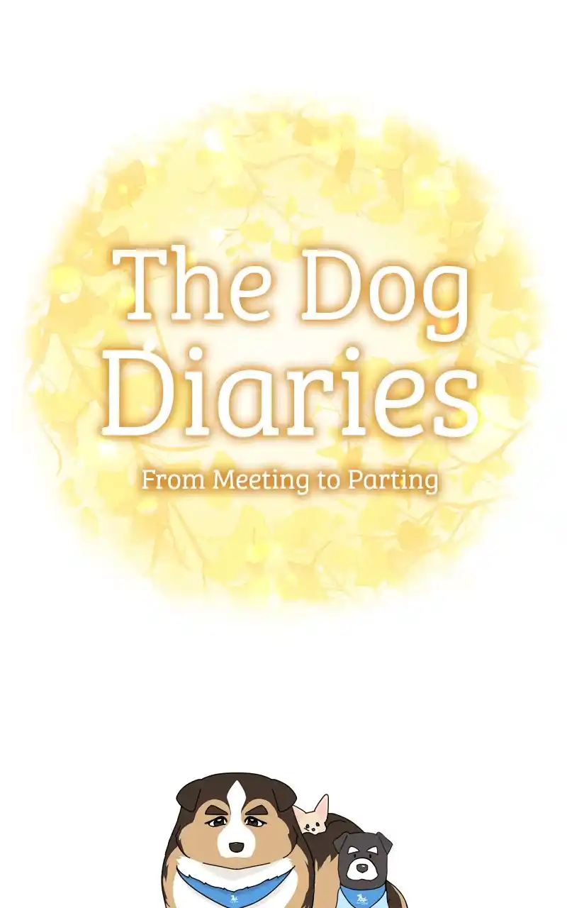 The Dog Diaries Chapter 123