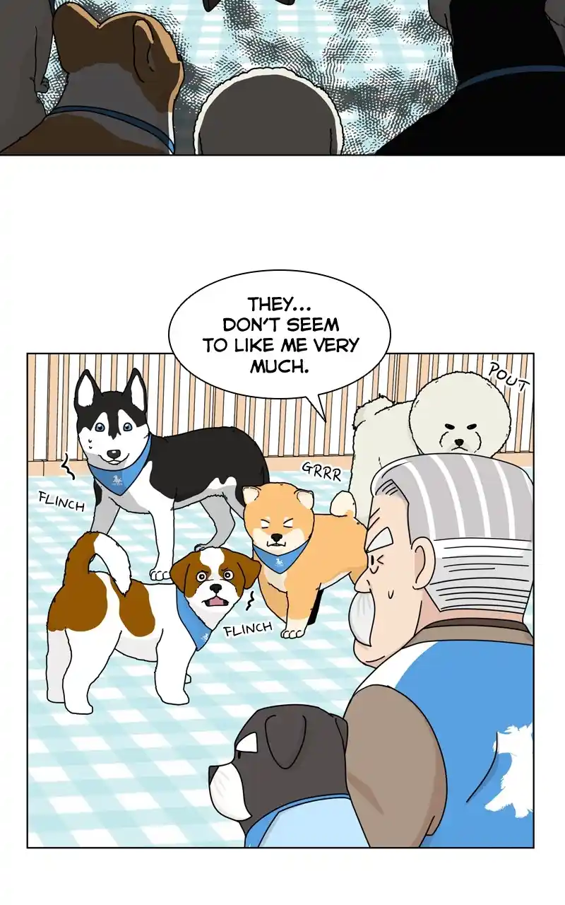 The Dog Diaries Chapter 124