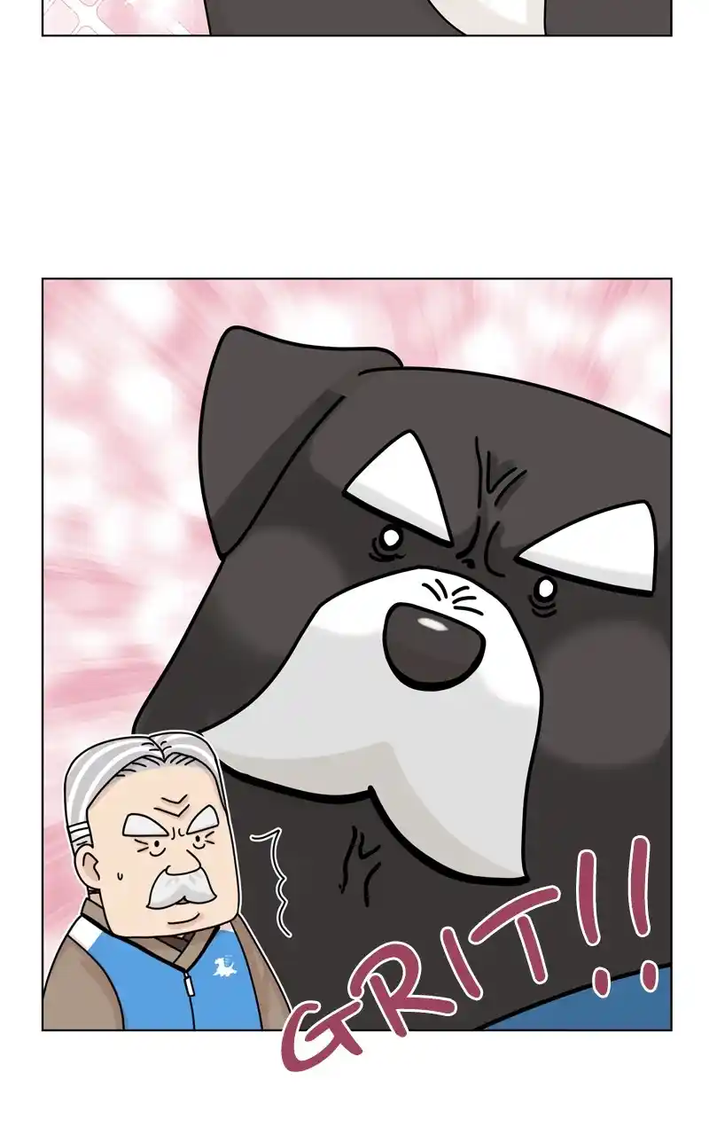 The Dog Diaries Chapter 124