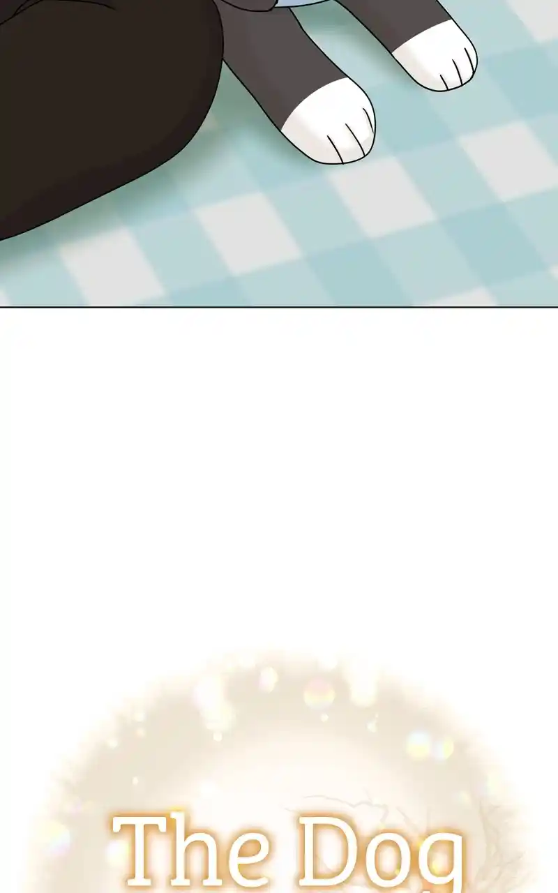 The Dog Diaries Chapter 125