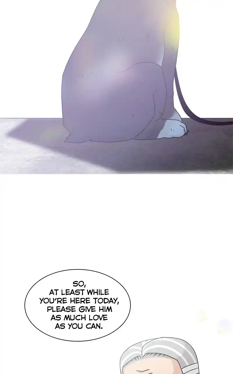 The Dog Diaries Chapter 125