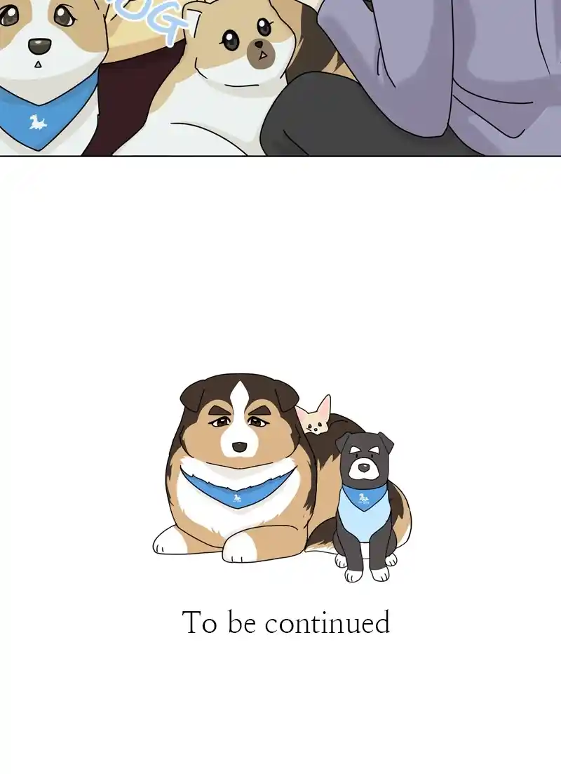 The Dog Diaries Chapter 125