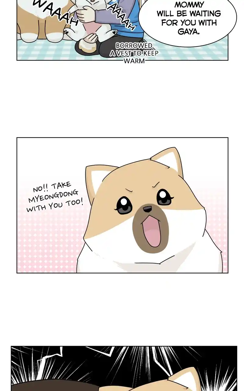 The Dog Diaries Chapter 126