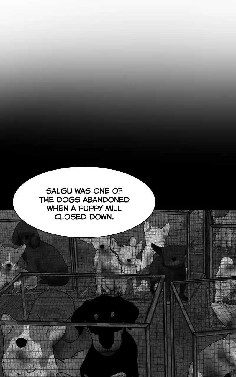 The Dog Diaries Chapter 126