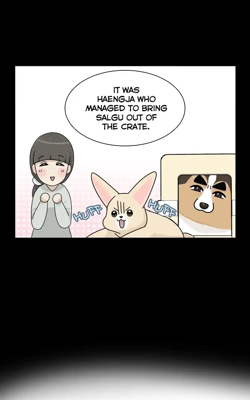 The Dog Diaries Chapter 126