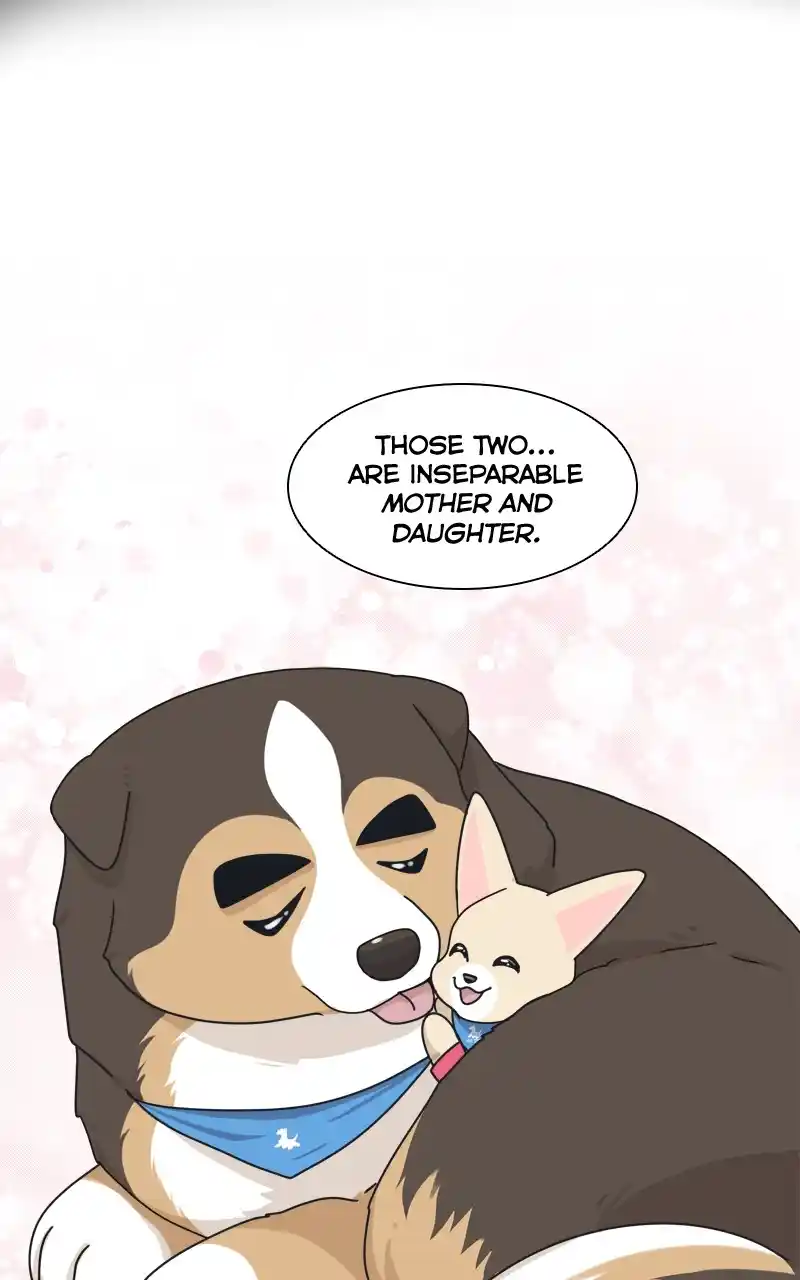 The Dog Diaries Chapter 126