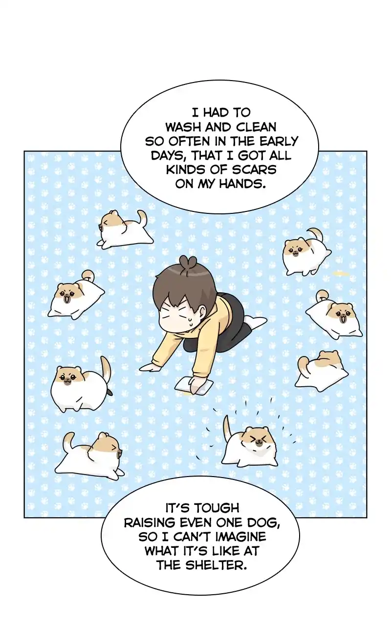 The Dog Diaries Chapter 126