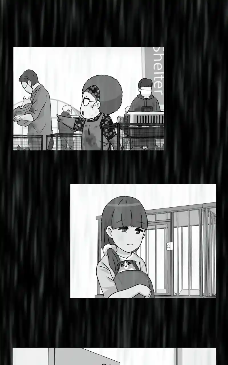 The Dog Diaries Chapter 126