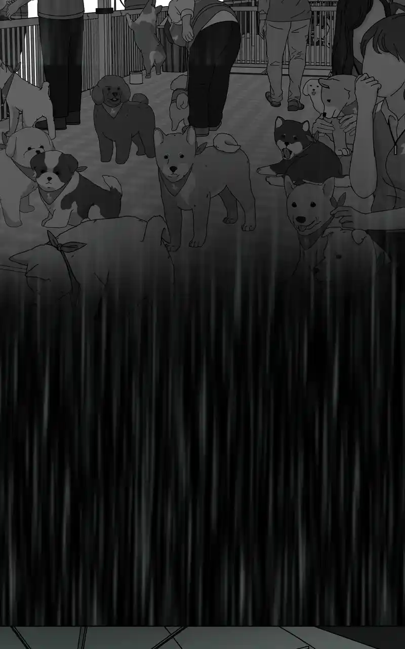 The Dog Diaries Chapter 126