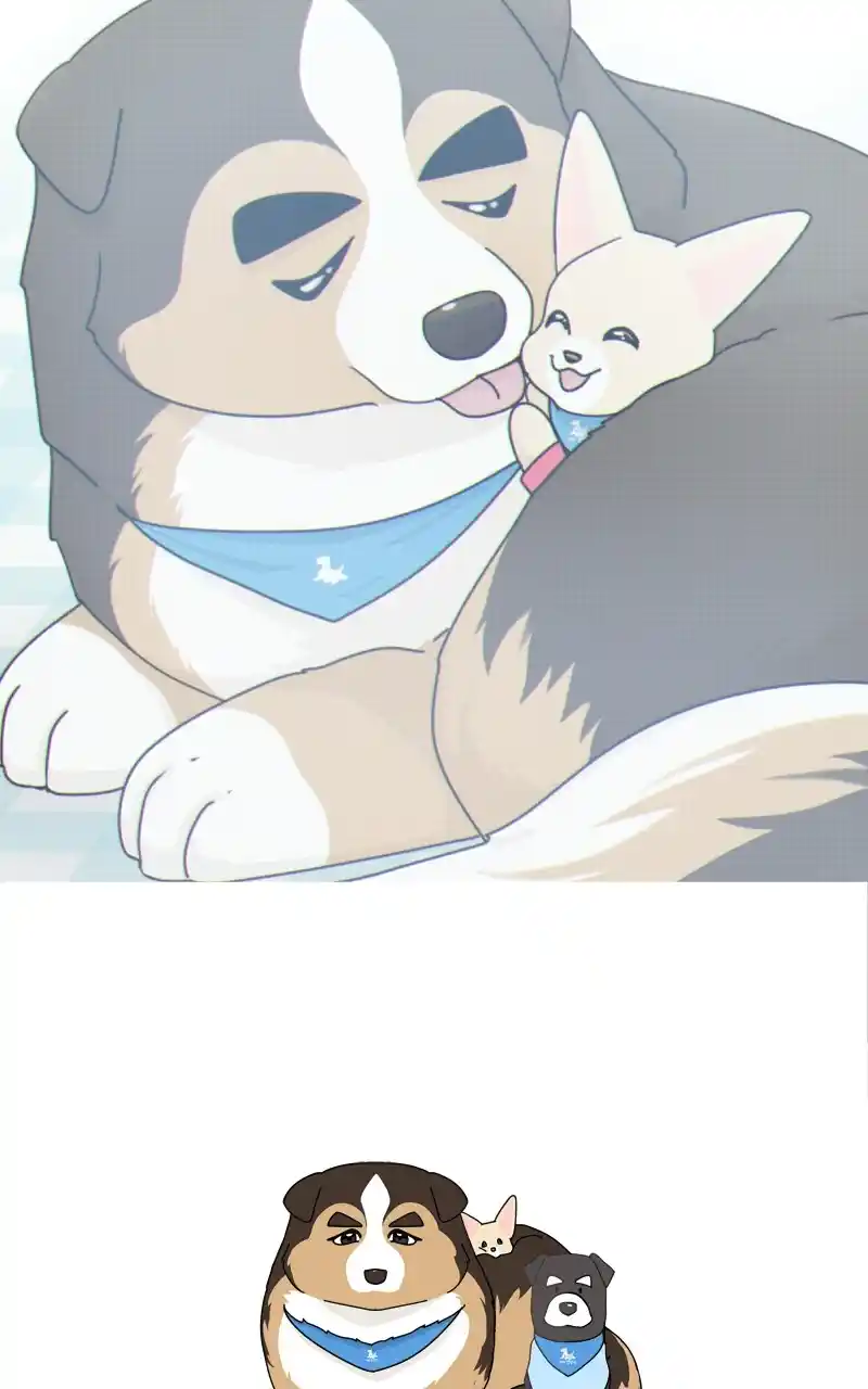 The Dog Diaries Chapter 126