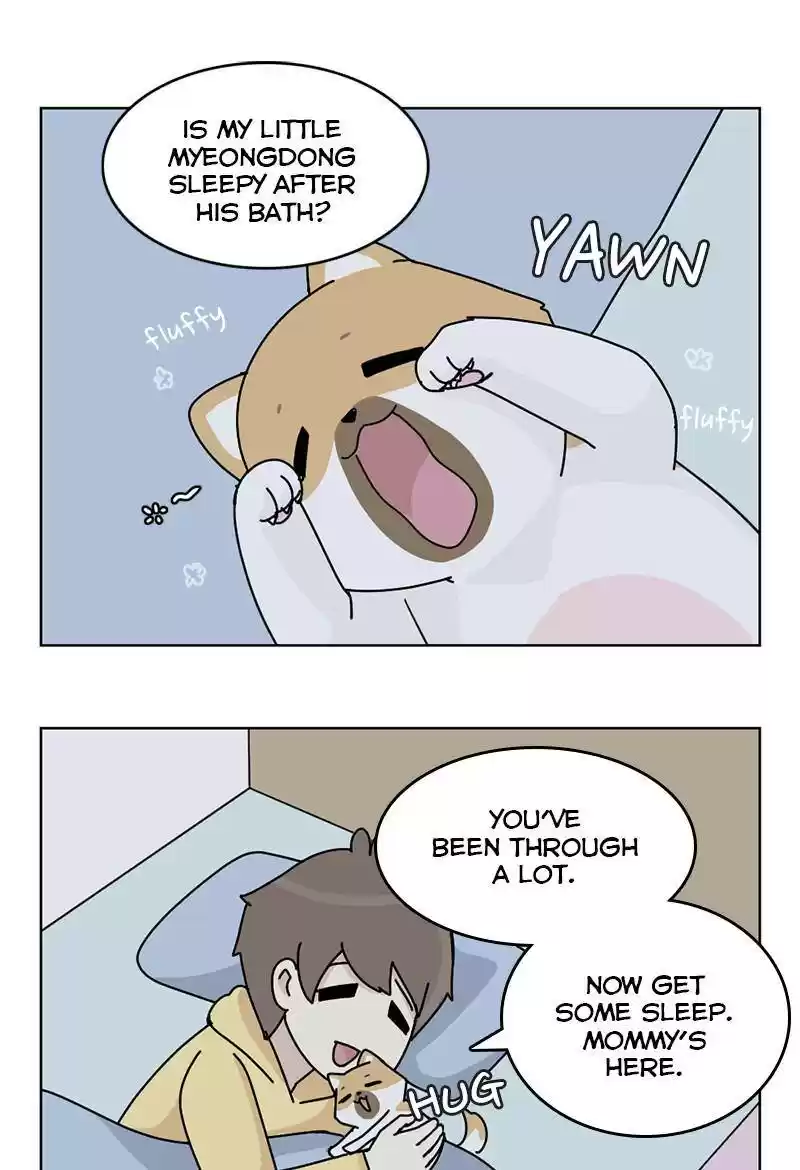 The Dog Diaries Chapter 13