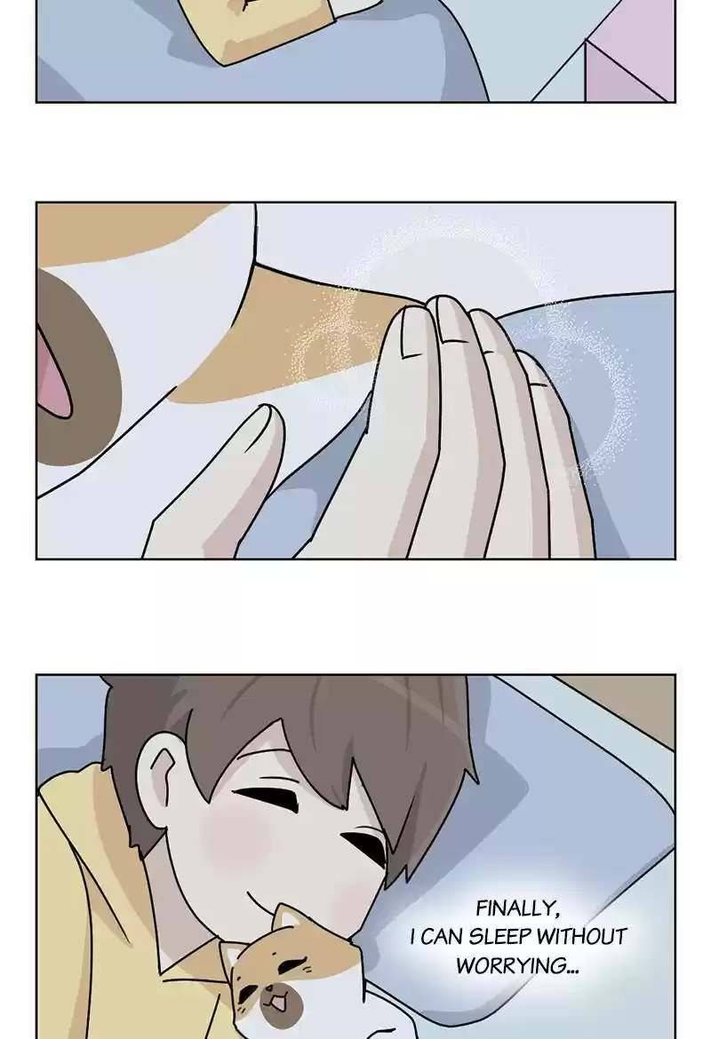 The Dog Diaries Chapter 13