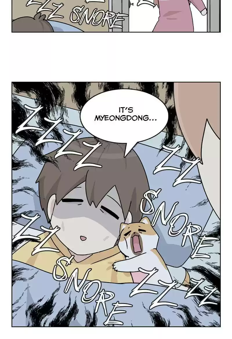 The Dog Diaries Chapter 13