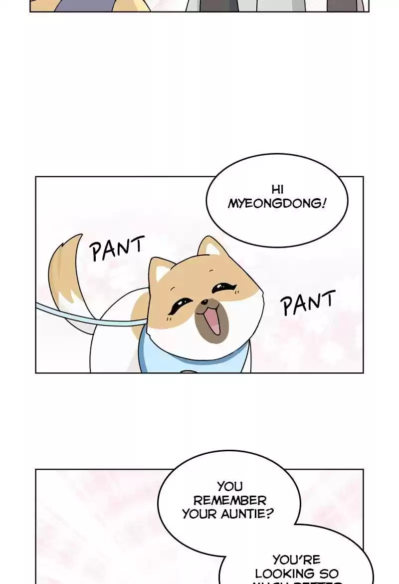 The Dog Diaries Chapter 13