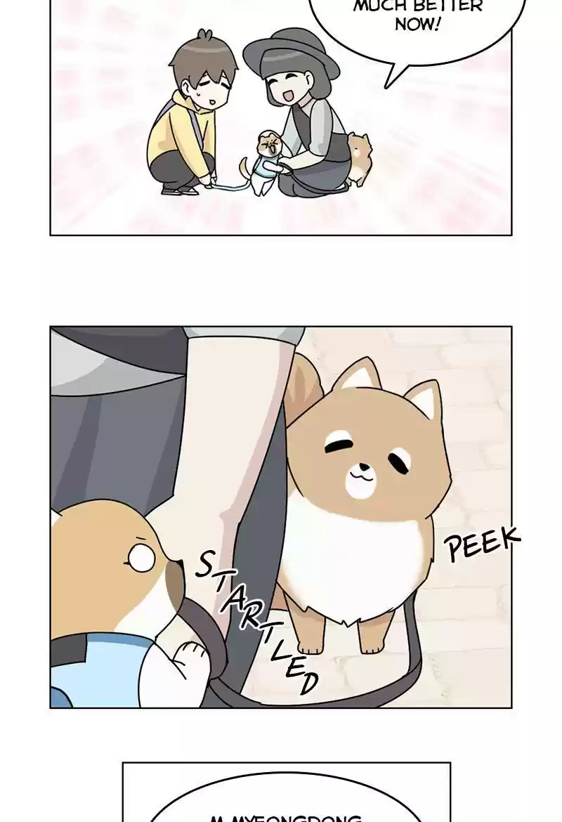 The Dog Diaries Chapter 13