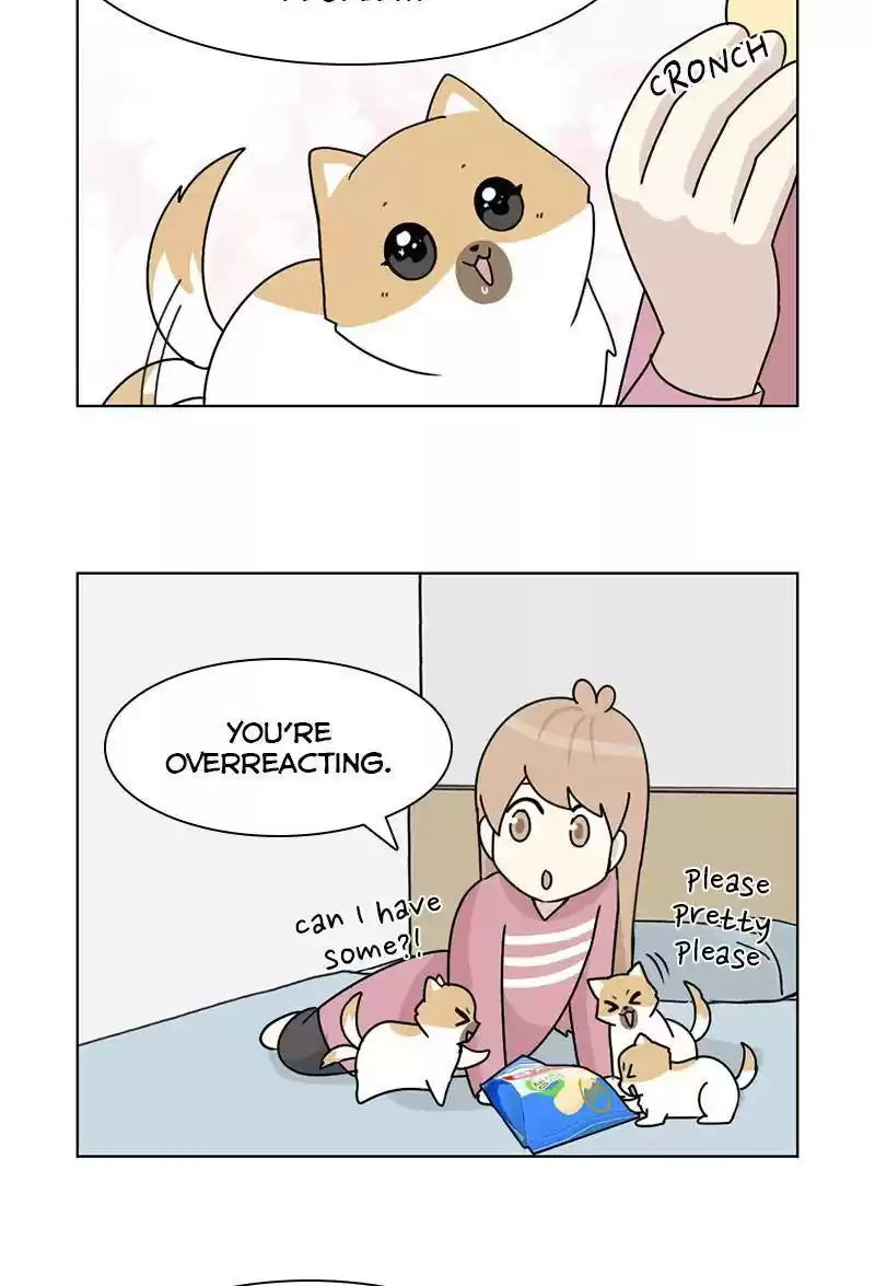 The Dog Diaries Chapter 13