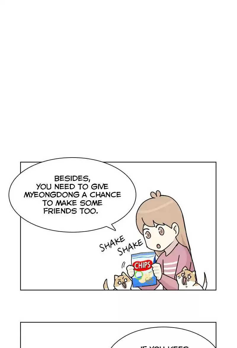 The Dog Diaries Chapter 13