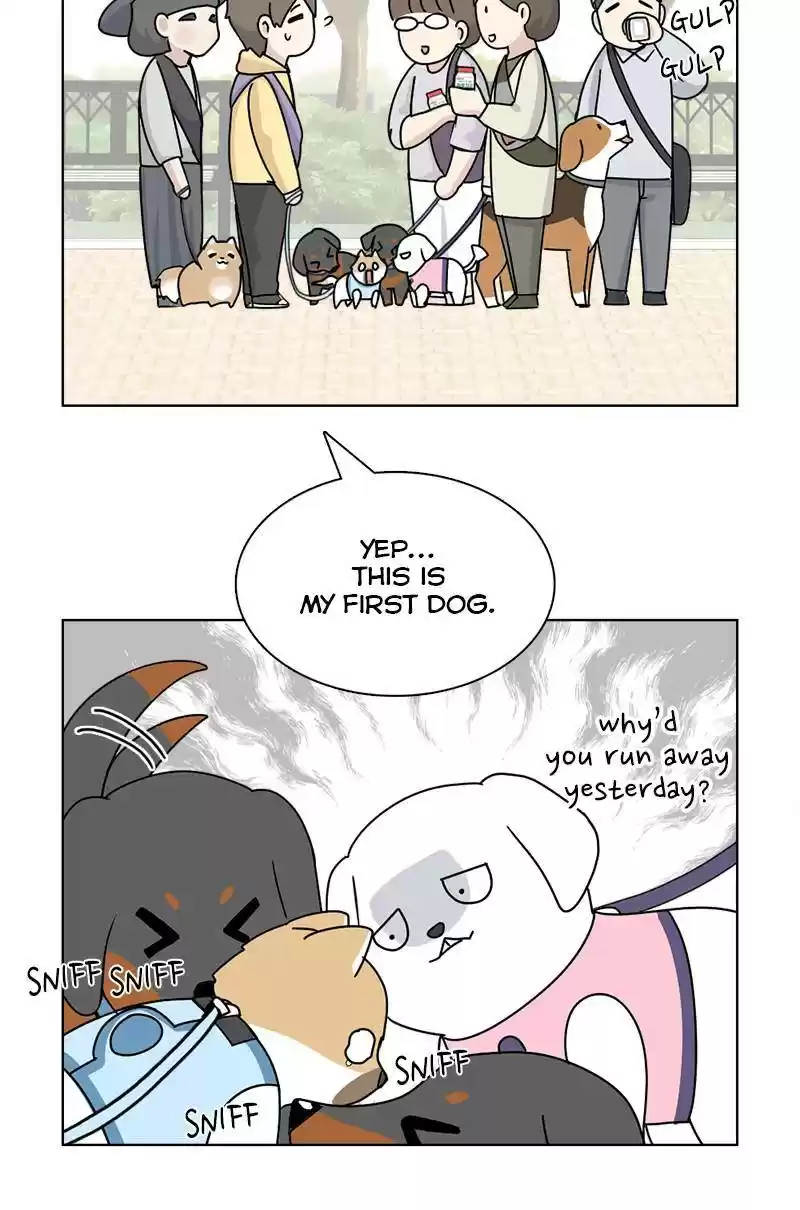 The Dog Diaries Chapter 13