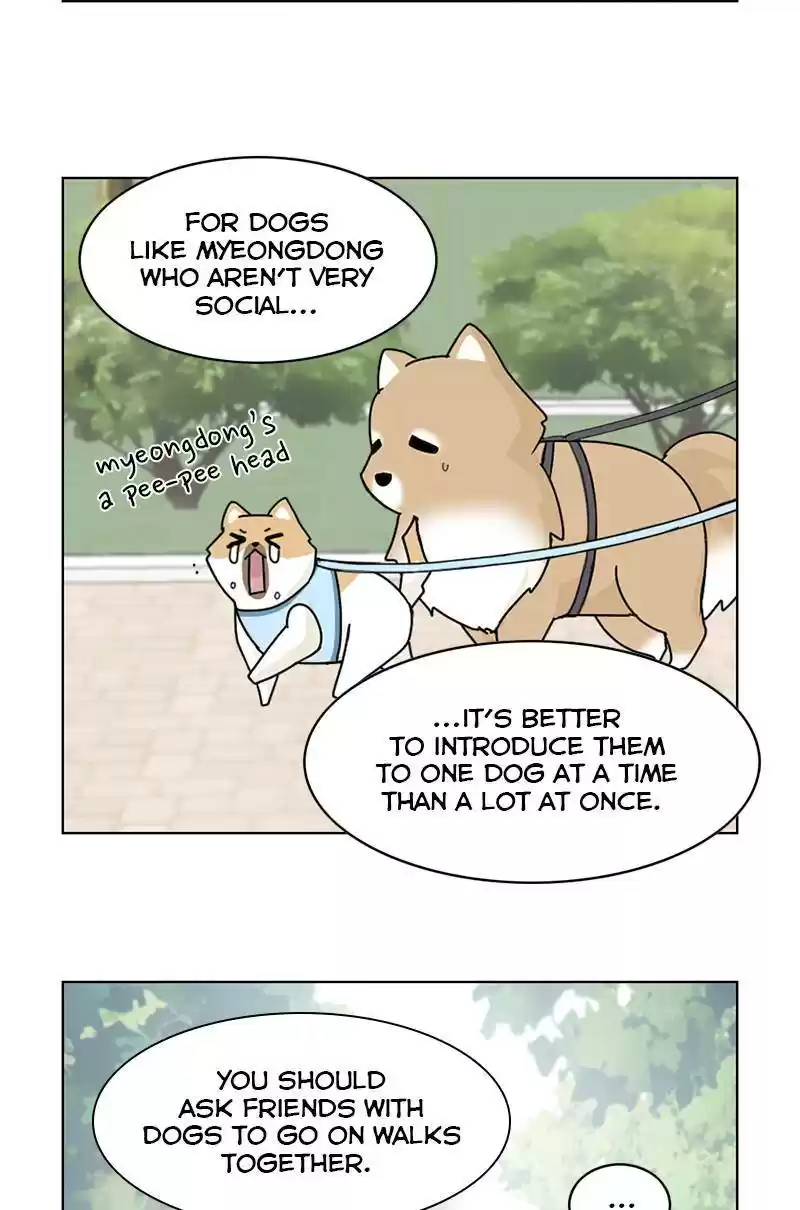 The Dog Diaries Chapter 13