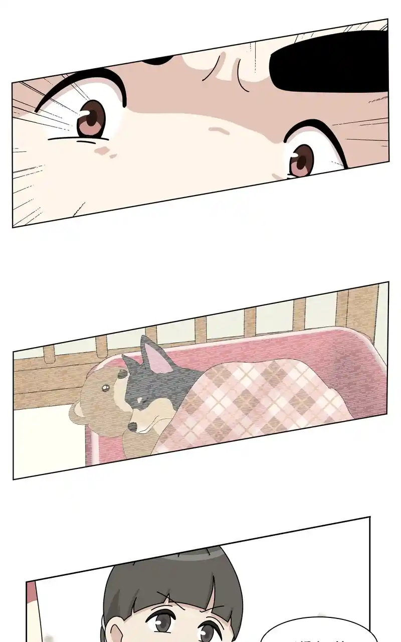 The Dog Diaries Chapter 130