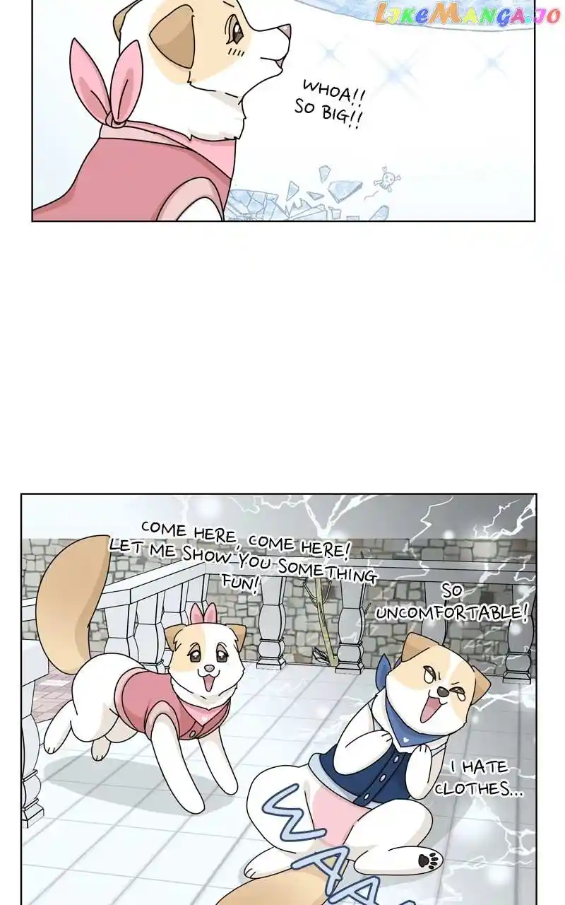 The Dog Diaries Chapter 134