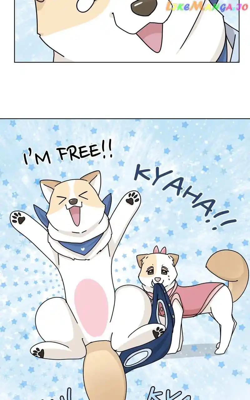 The Dog Diaries Chapter 134