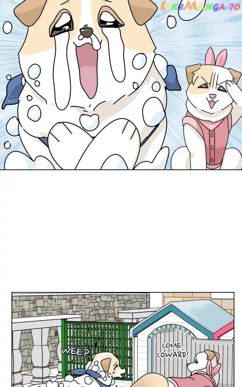 The Dog Diaries Chapter 134