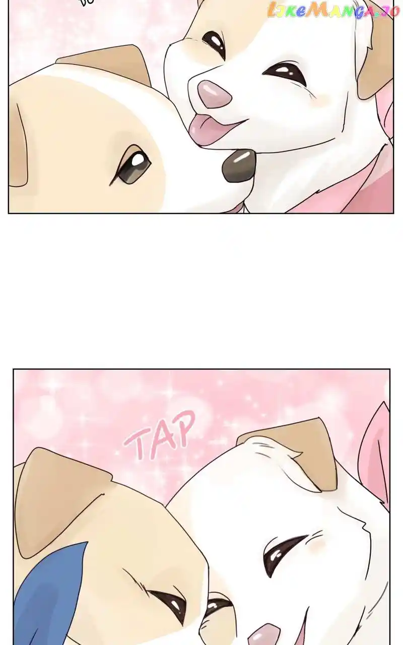 The Dog Diaries Chapter 134
