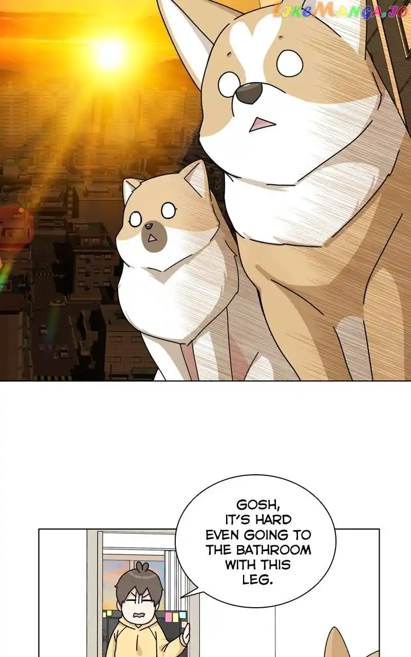 The Dog Diaries Chapter 135