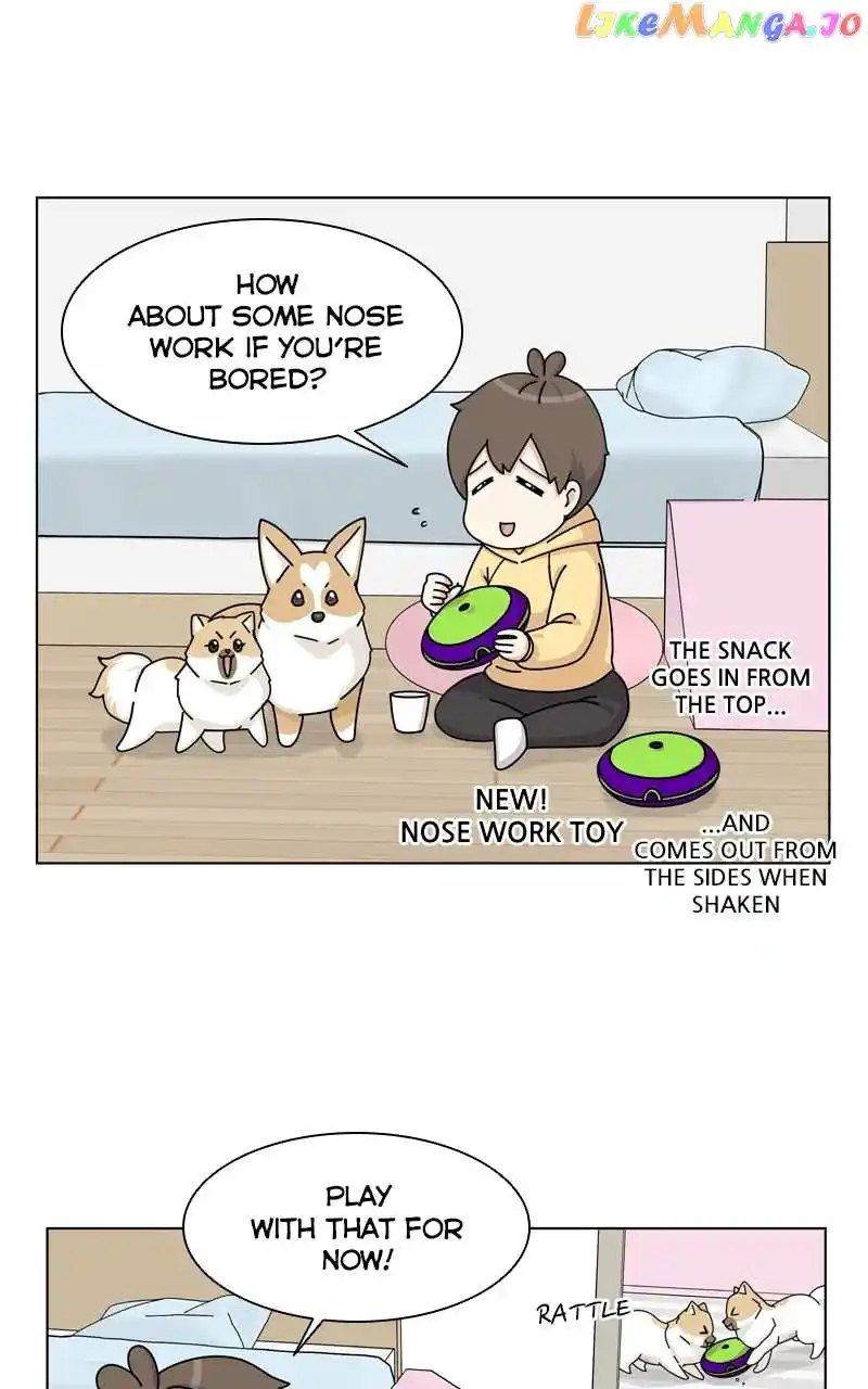 The Dog Diaries Chapter 135