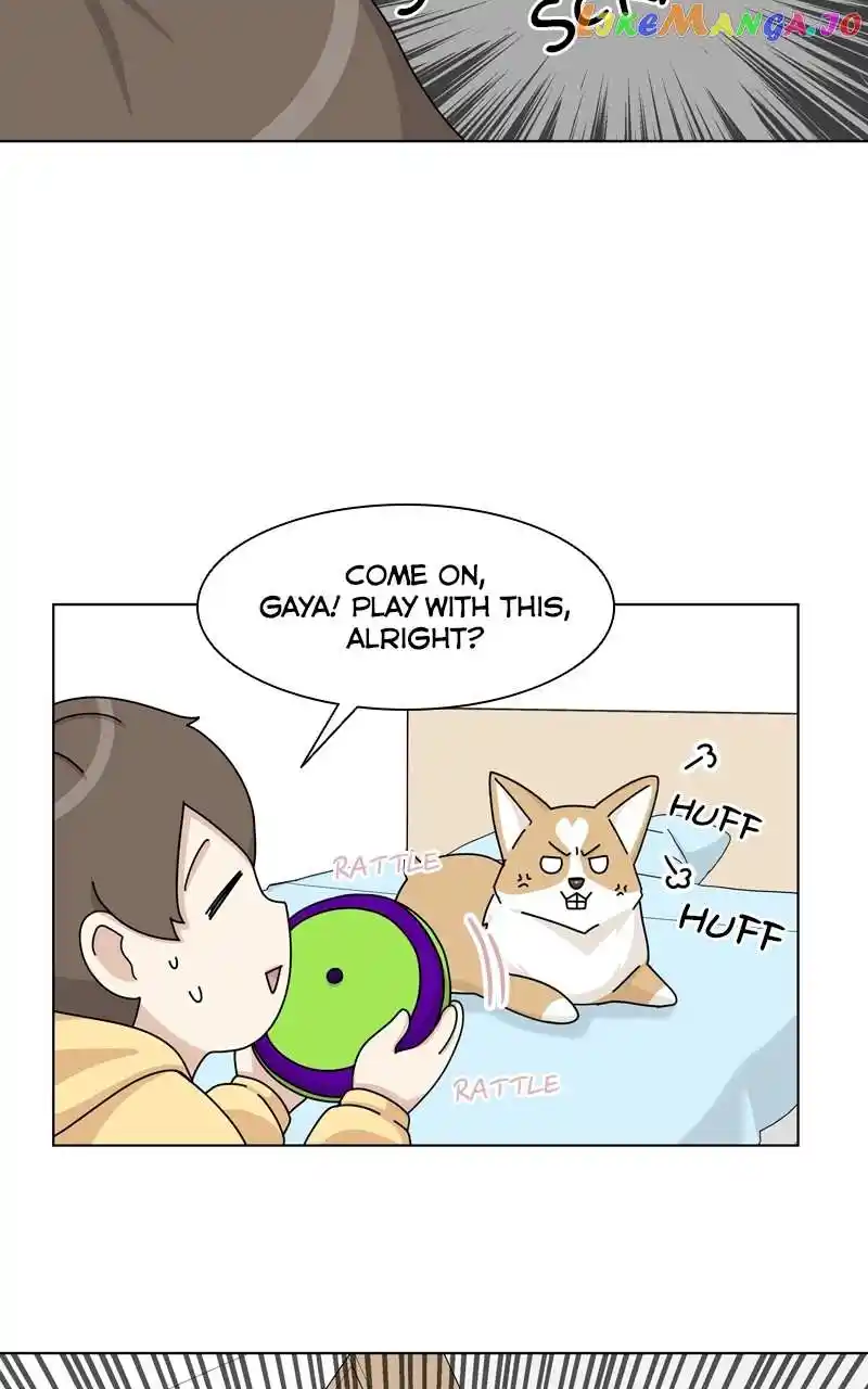 The Dog Diaries Chapter 135