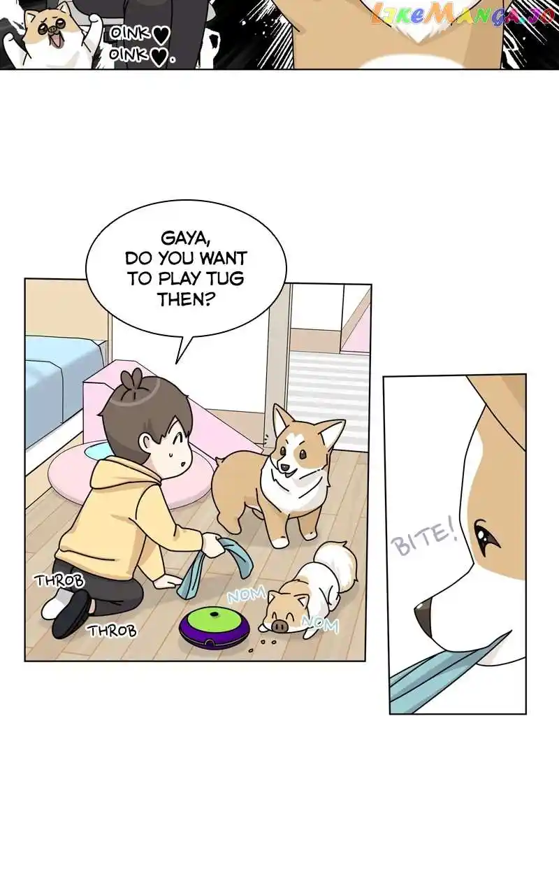 The Dog Diaries Chapter 135