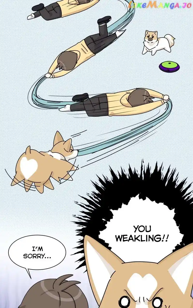The Dog Diaries Chapter 135
