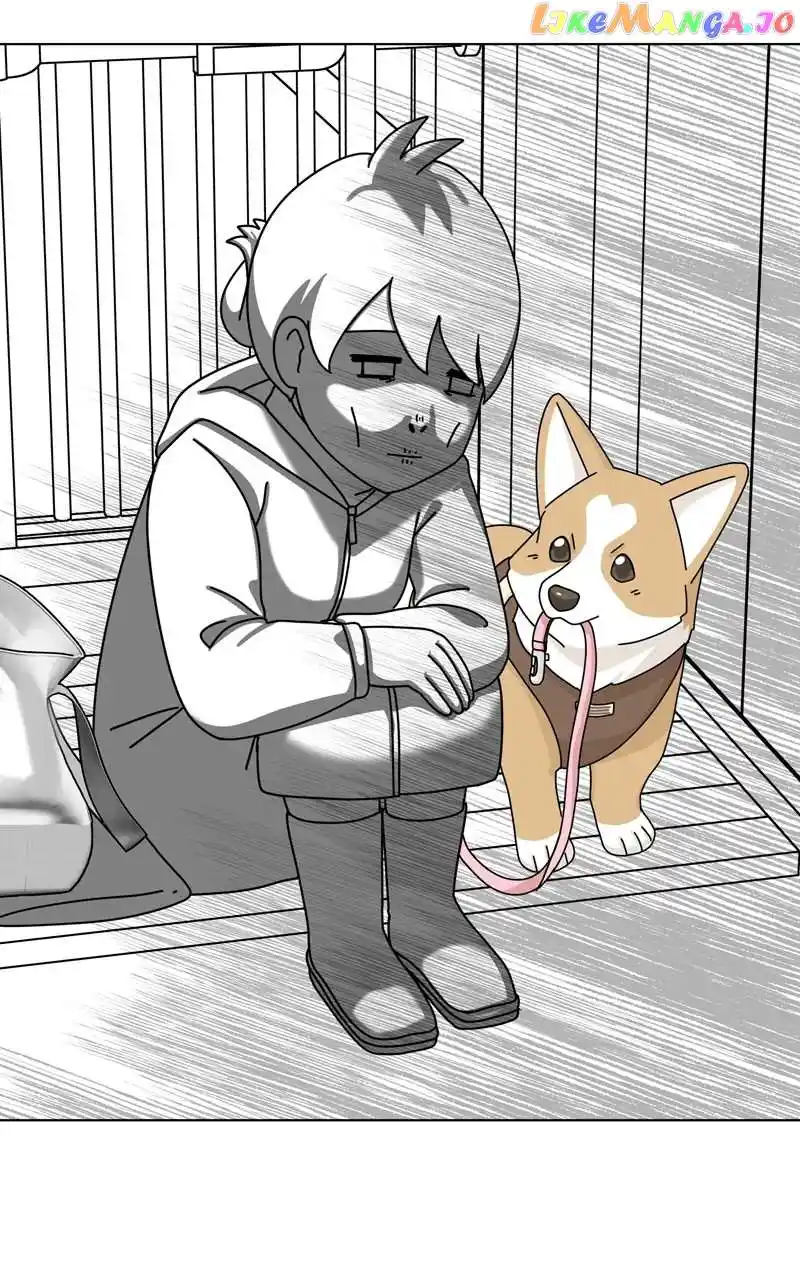 The Dog Diaries Chapter 135