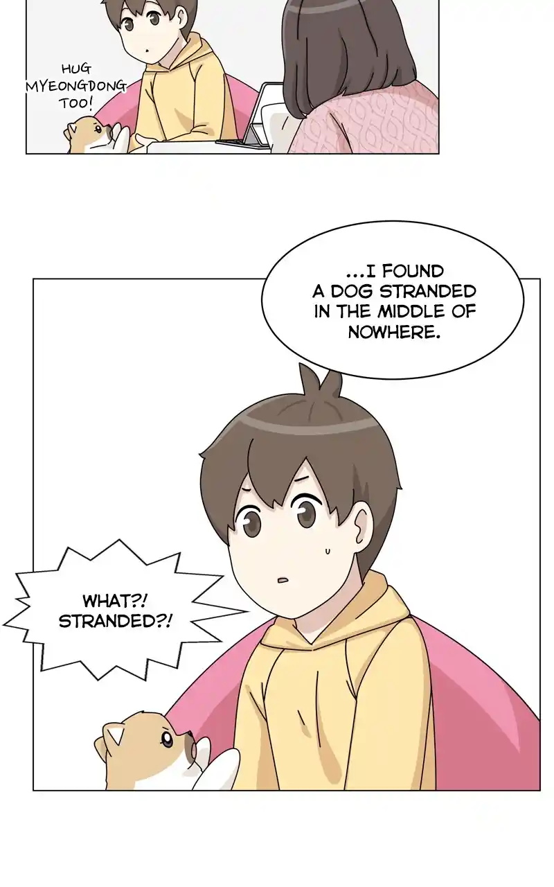 The Dog Diaries Chapter 136