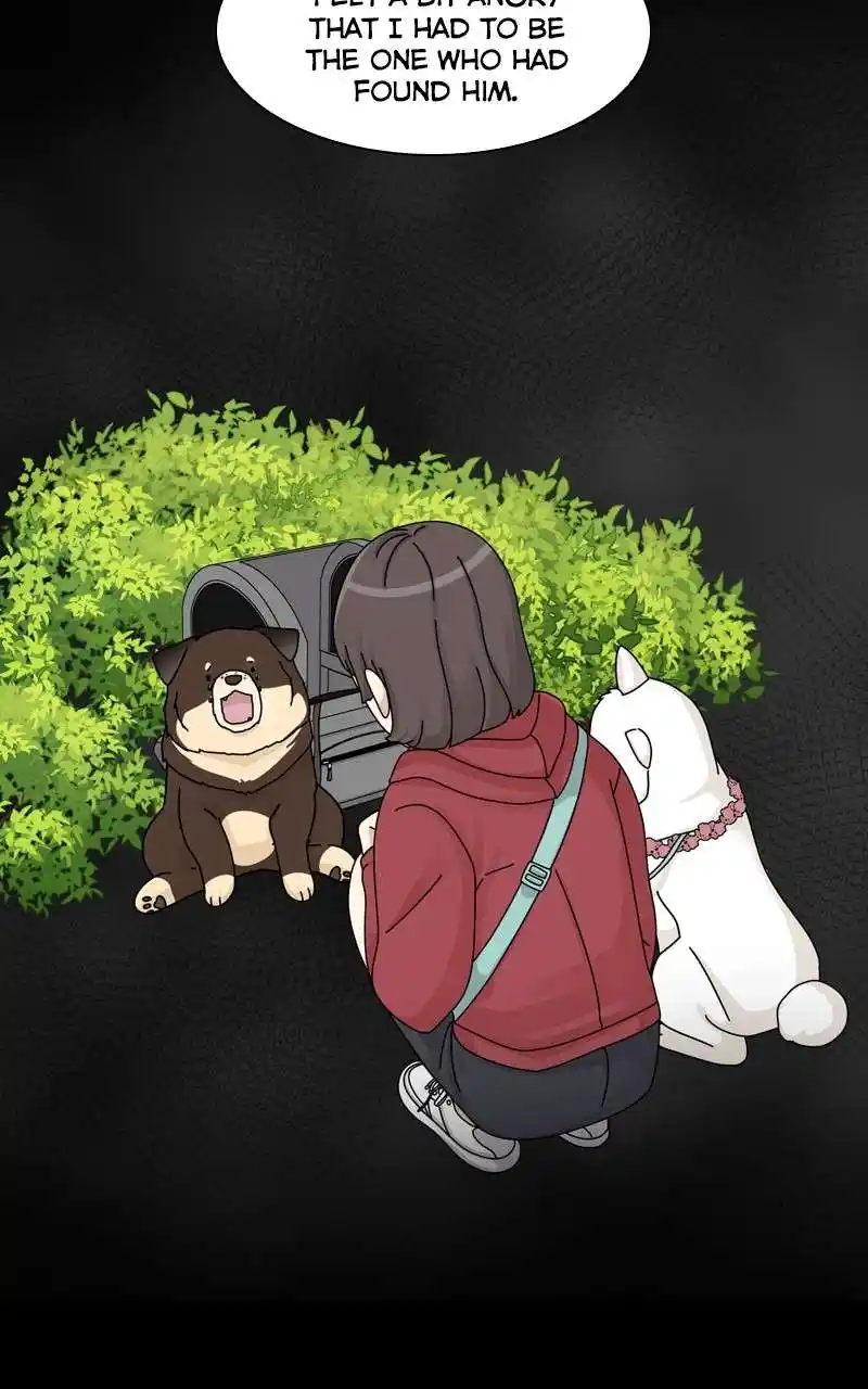 The Dog Diaries Chapter 136