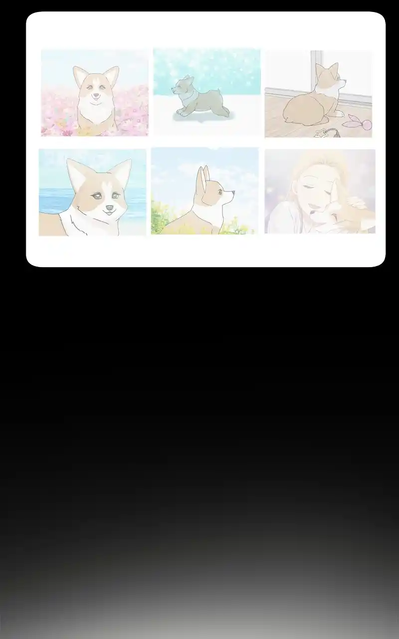 The Dog Diaries Chapter 136