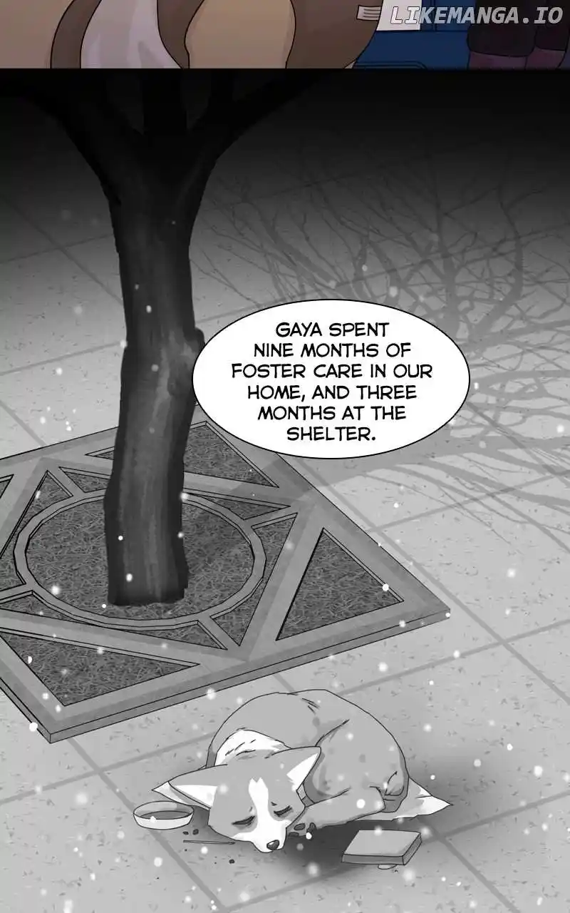 The Dog Diaries Chapter 138