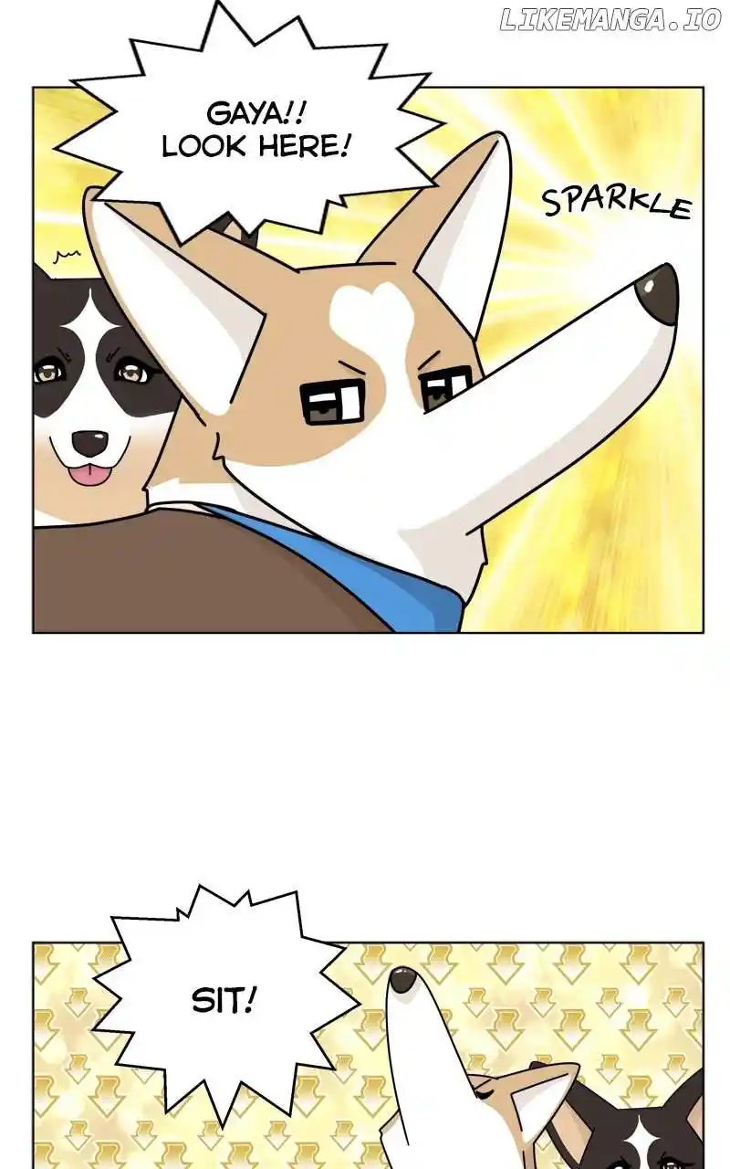 The Dog Diaries Chapter 139