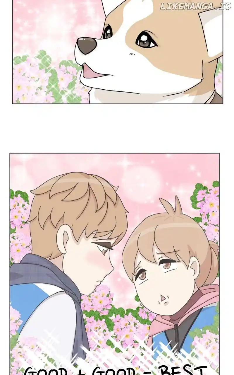 The Dog Diaries Chapter 139