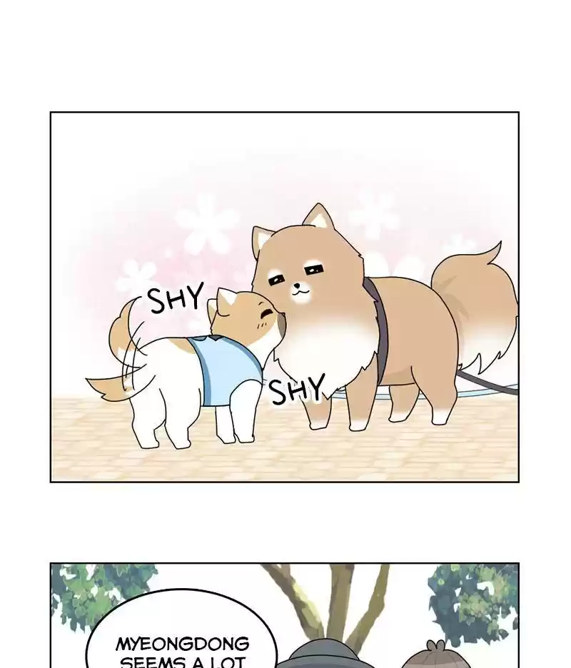 The Dog Diaries Chapter 14