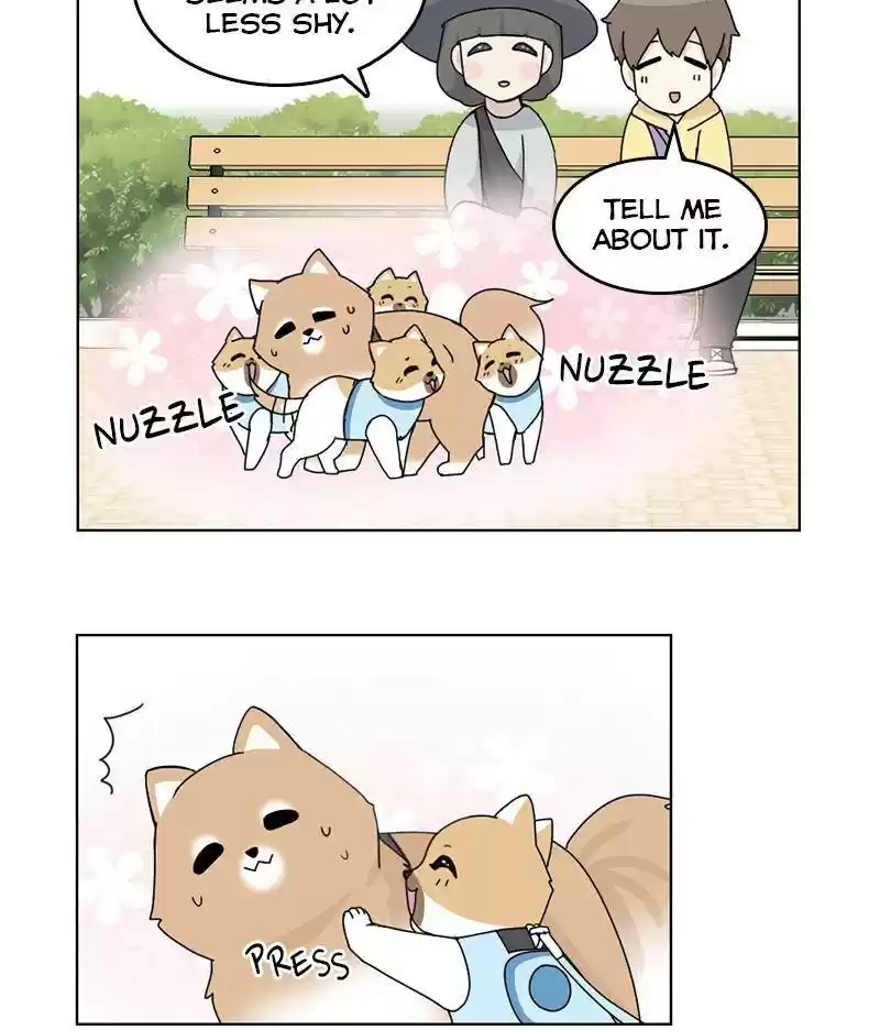 The Dog Diaries Chapter 14