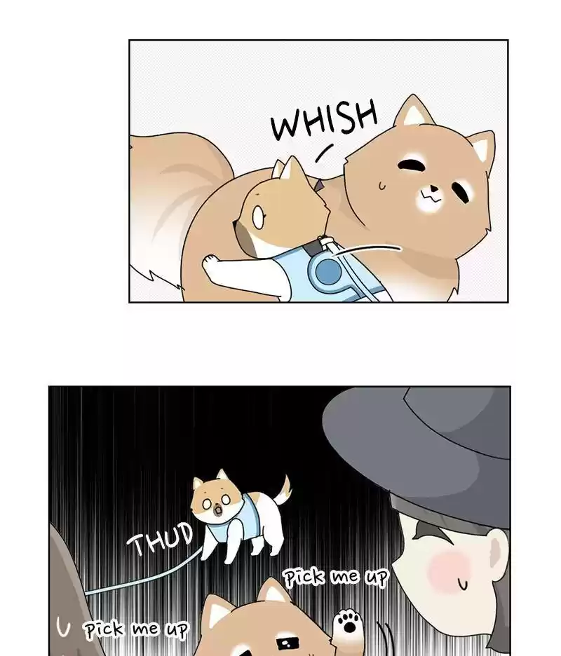 The Dog Diaries Chapter 14