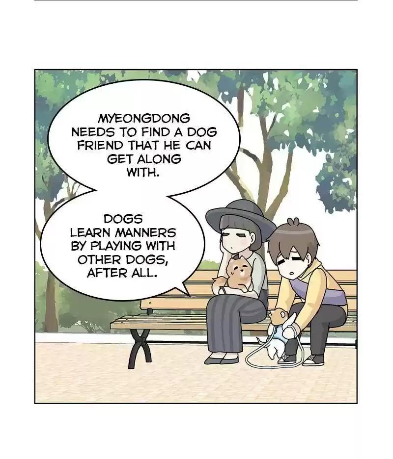 The Dog Diaries Chapter 14