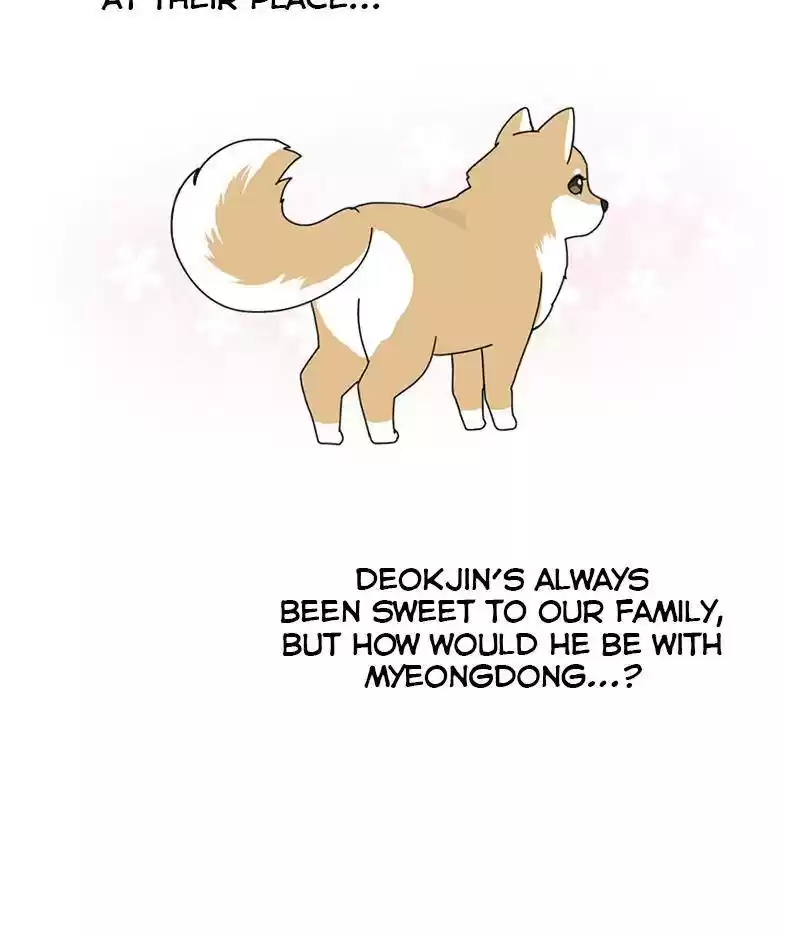 The Dog Diaries Chapter 14