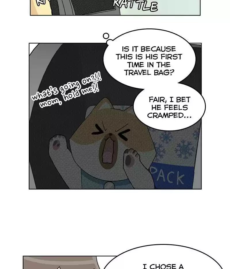 The Dog Diaries Chapter 14