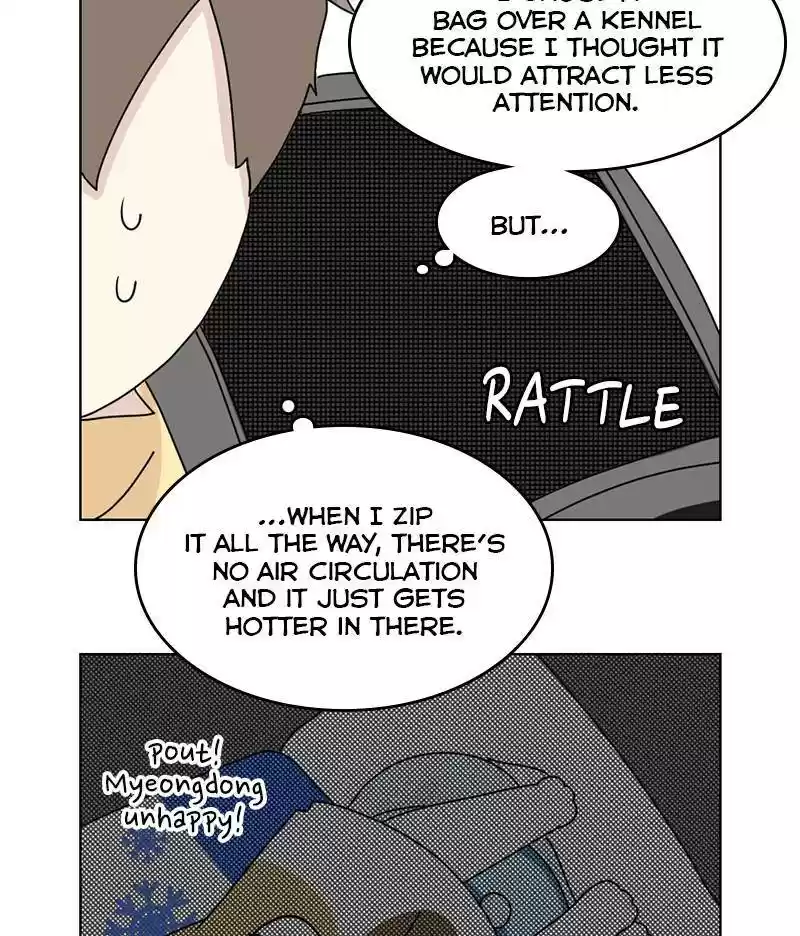 The Dog Diaries Chapter 14