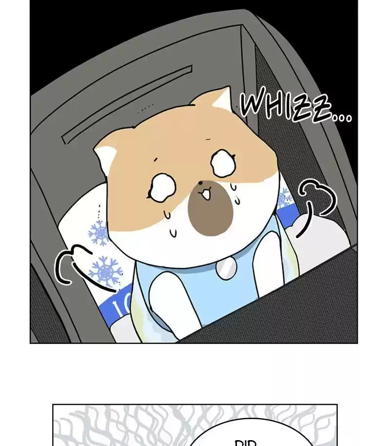 The Dog Diaries Chapter 14