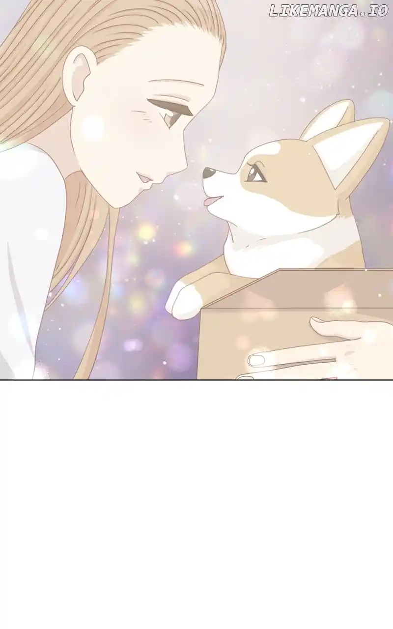 The Dog Diaries Chapter 140