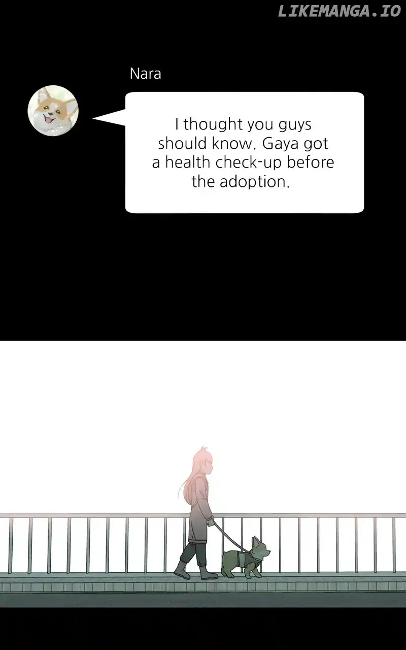 The Dog Diaries Chapter 141